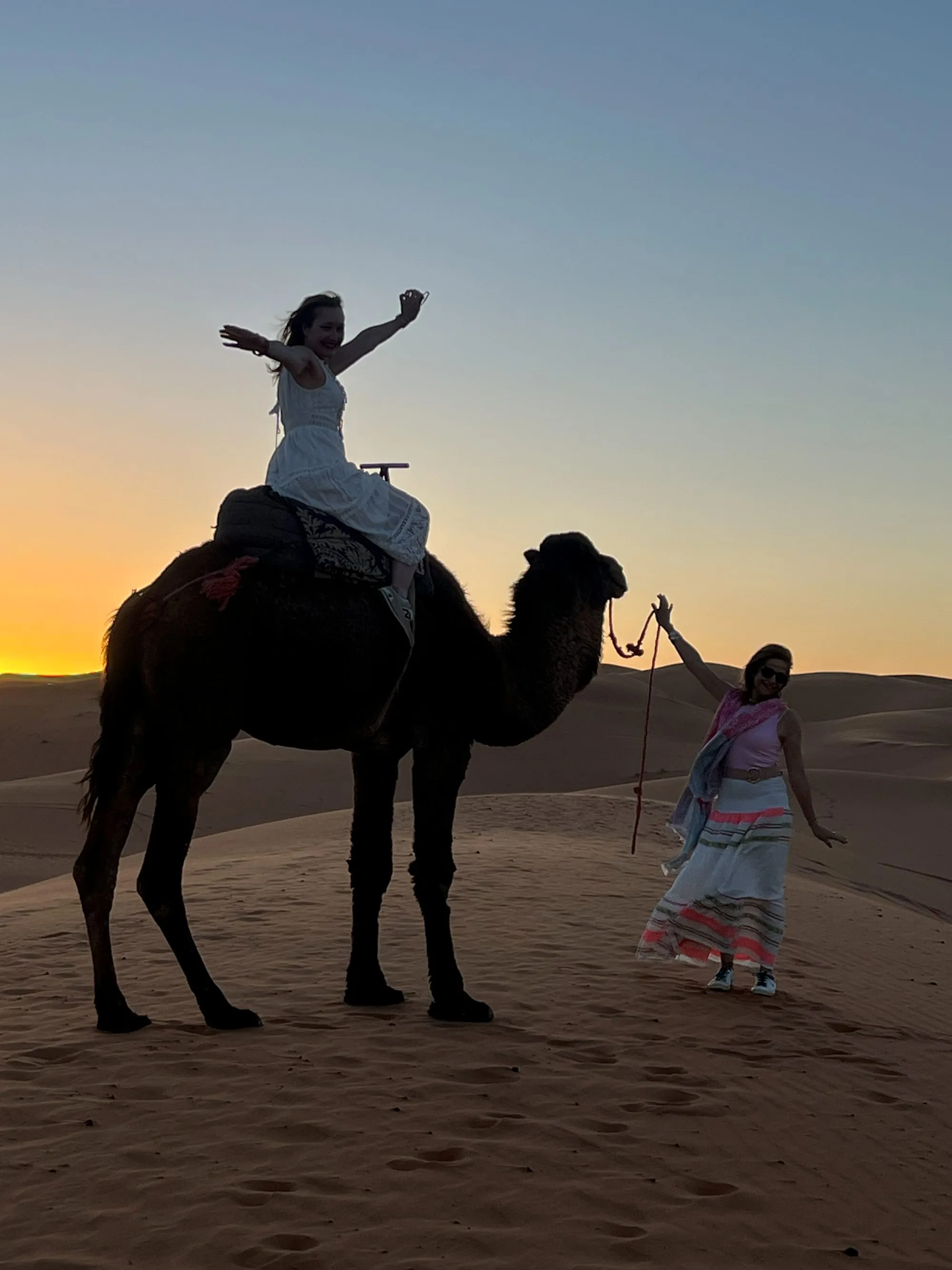 Silhouette of a traveller on a camel at a Sahara sunset