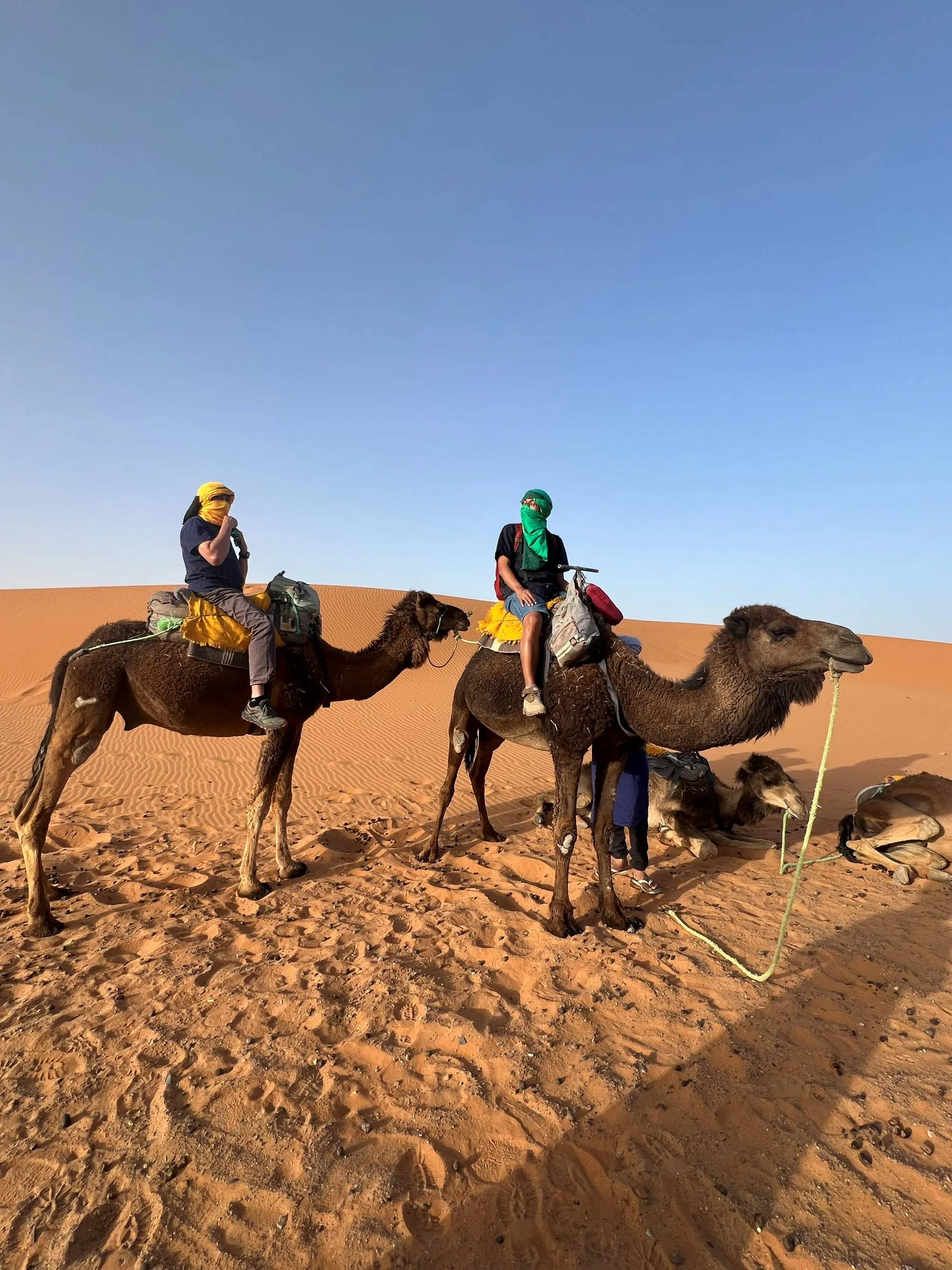 A couple riding camels across the Merzouga sand dunes