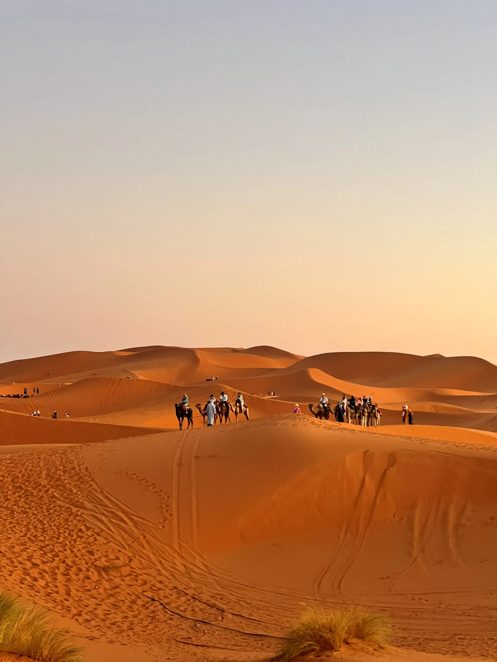 A distant camel caravan on the rolling dunes of Erg Chebbi, Merzouga
