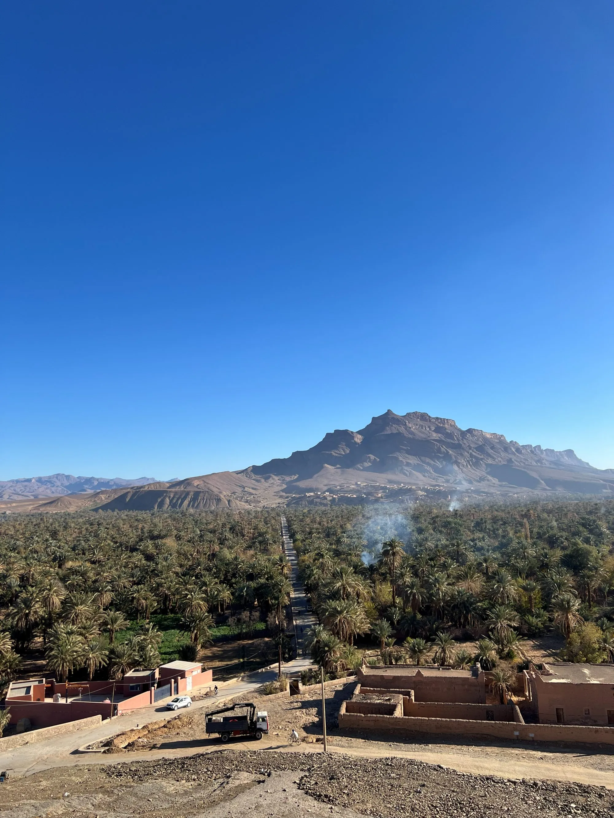 A green palm oasis beneath rugged desert mountains